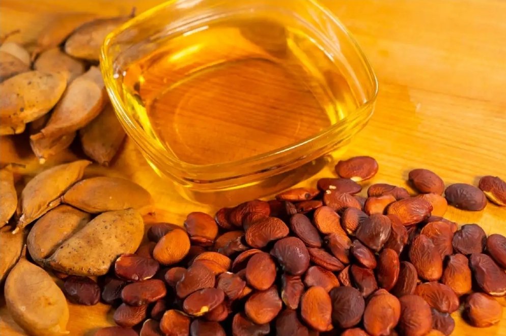 Karanja seeds and oil